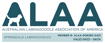 Australian Labradoodle Association of America Site Home Page