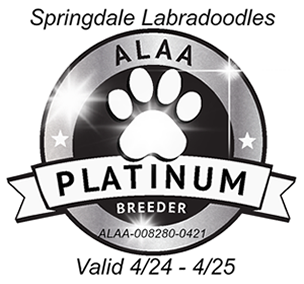 Australian Labradoodle Association of America Site Home Page