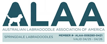 Australian Labradoodle Association of America Site Home Page