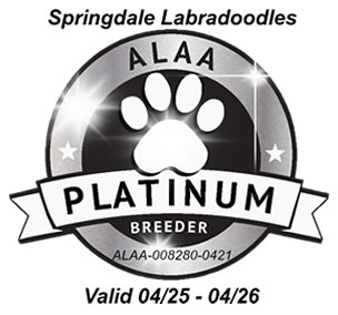 Australian Labradoodle Association of America Site Home Page